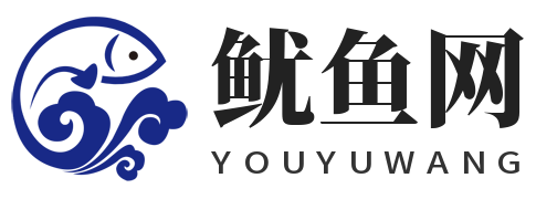 鱿鱼网