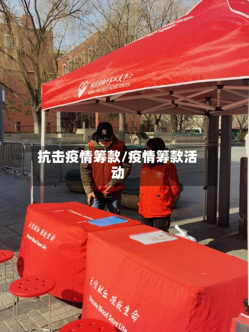 抗击疫情筹款/疫情筹款活动-第2张图片