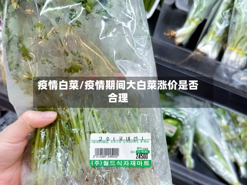 疫情白菜/疫情期间大白菜涨价是否合理-第2张图片