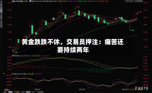 黄金跌跌不休，交易员押注：痛苦还要持续两年-第3张图片