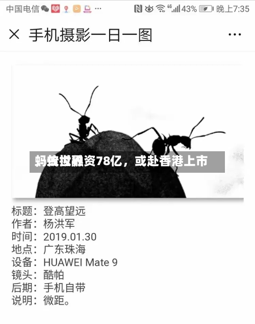 蚂蚁世界，传拟融资78亿，或赴香港上市