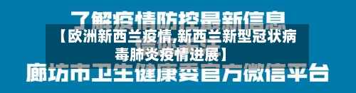 【欧洲新西兰疫情,新西兰新型冠状病毒肺炎疫情进展】-第2张图片