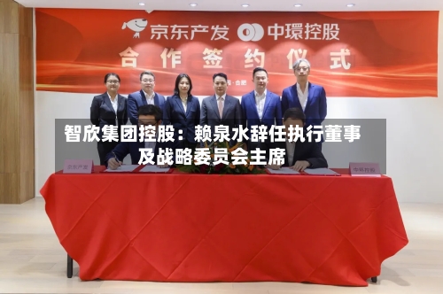 智欣集团控股:赖泉水辞任执行董事及战略委员会主席