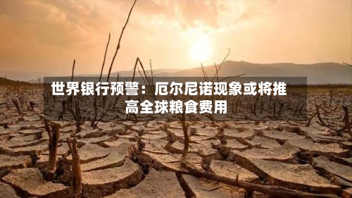 世界银行预警:厄尔尼诺现象或将推高全球粮食费用
-第3张图片