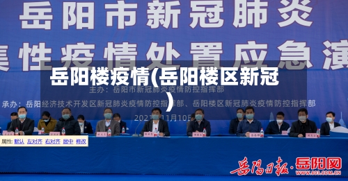 岳阳楼疫情(岳阳楼区新冠)-第2张图片